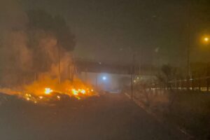 Incendi a Palermo, Bonanno (DC) “Strategia Criminale. lavorerò per trovare fondi in bilancio per l’installazione di videocamere”